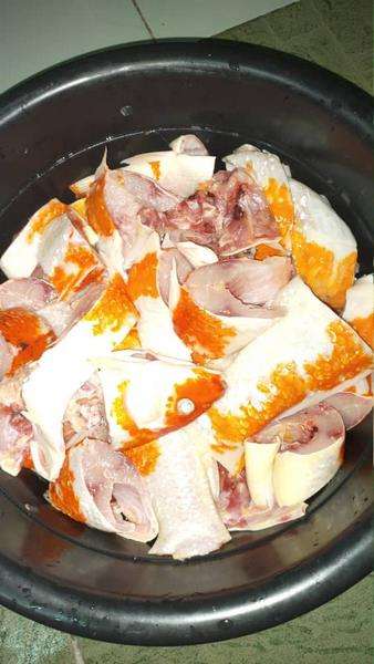 Puluhan ikan Koi dimasak jadi sup ikan.