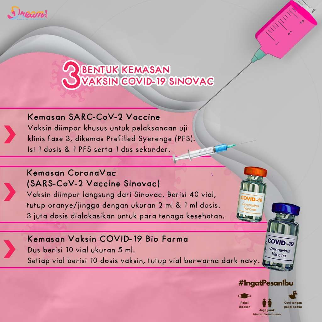Infografis Dream.co.id