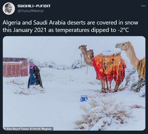 Meski berada di gurun, suhu bisa turun minus 2 derajat Celcius.
