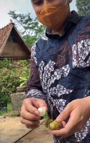 Istri berharap satu hari dikasih berlian mirip rambutan.