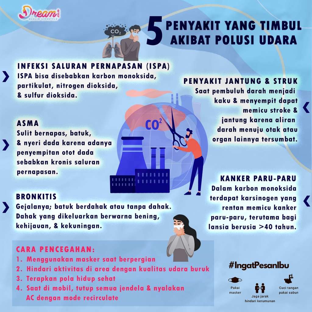 Infografis Dream.co.id