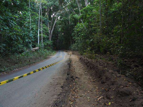 Suasana jalan di TN Alas Purwo, Banyuwangi.