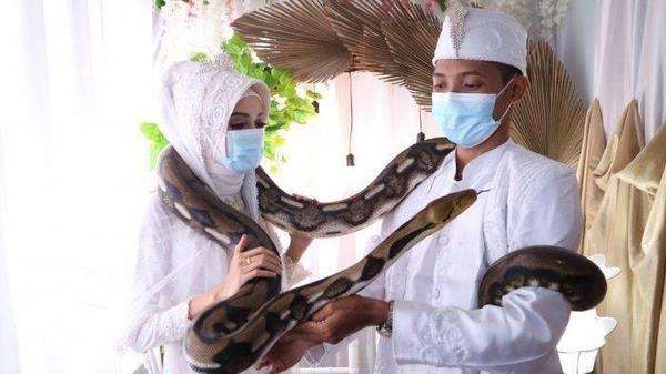 Sigit dan Tiara menikah karena sesama pecinta reptil.