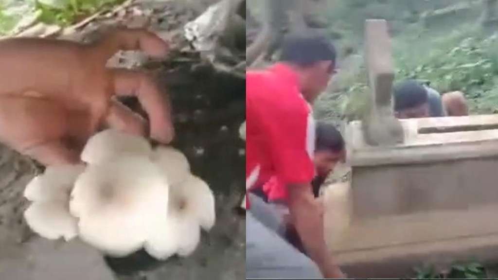 Remaja nekat Remaja nekat