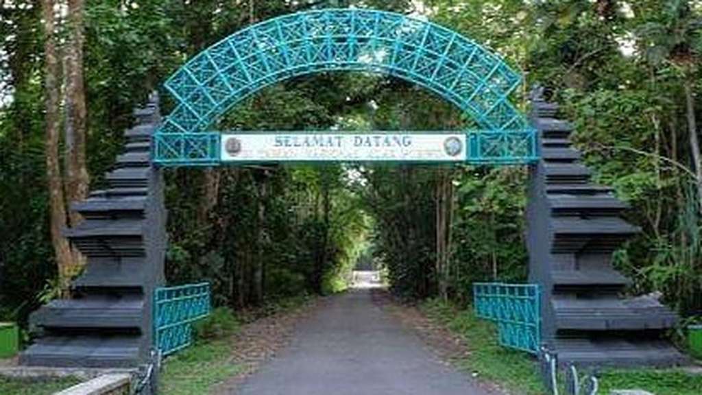 Alas Purwo