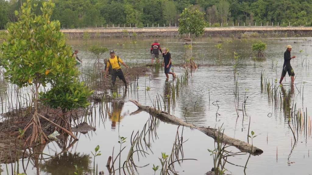 Revitalisasi lahan tambak