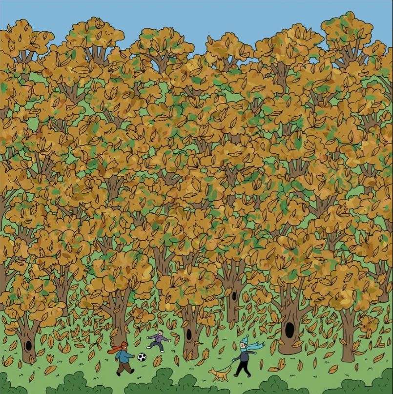 the squirrel hiding in the trees