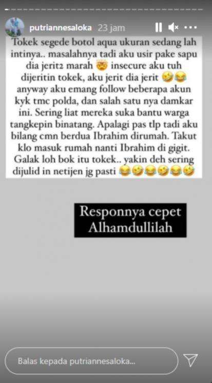 Curhatan Putri Anne soal tokek