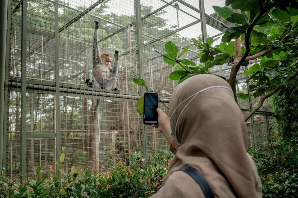 Wisata Nakes Wisata Nakes