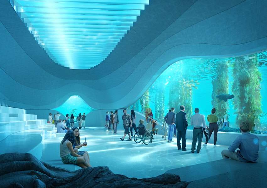 Observatorium Ikan Paus