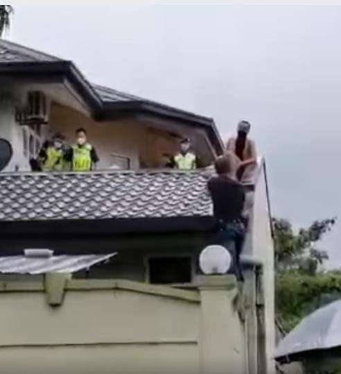 Pencuri tak berani turun usai dikejar anjing pemilik rumah.