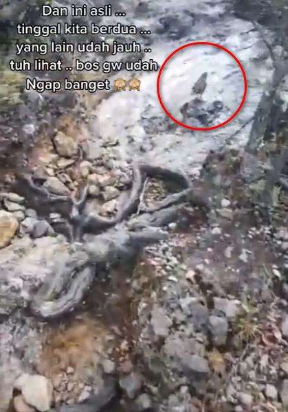 Tiba-tiba muncul burung jalak yang menuntun ke puncak Gunung Lawu.