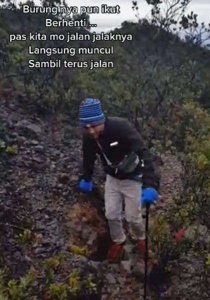 Anehnya burung jalak itu seperti tahu kondisi pendaki.