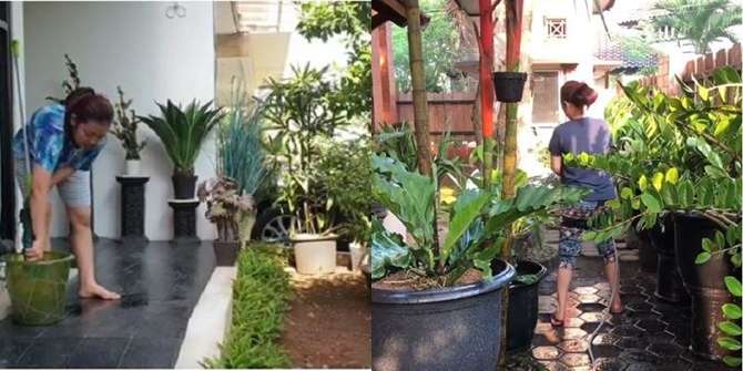 Rumah Soimah (Foto : @showimah)