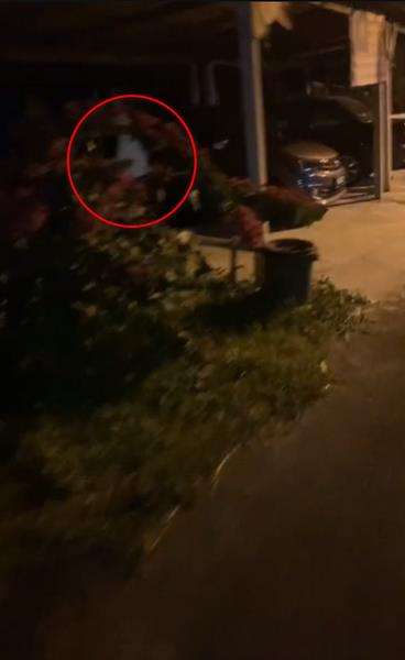 Sosok kelebat putih tiba-tiba muncul di depan saat main skateboard malam-malam.