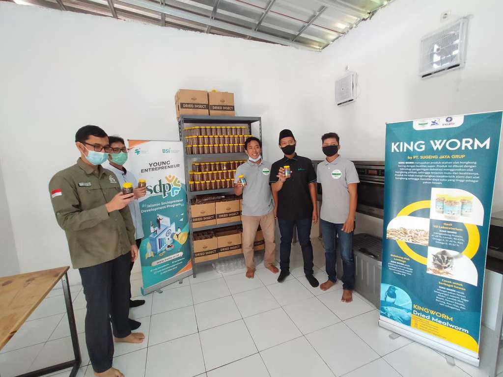 Produk king worm