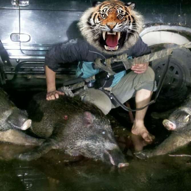 Alam Mbah Dukun Alam Mbah Dukun