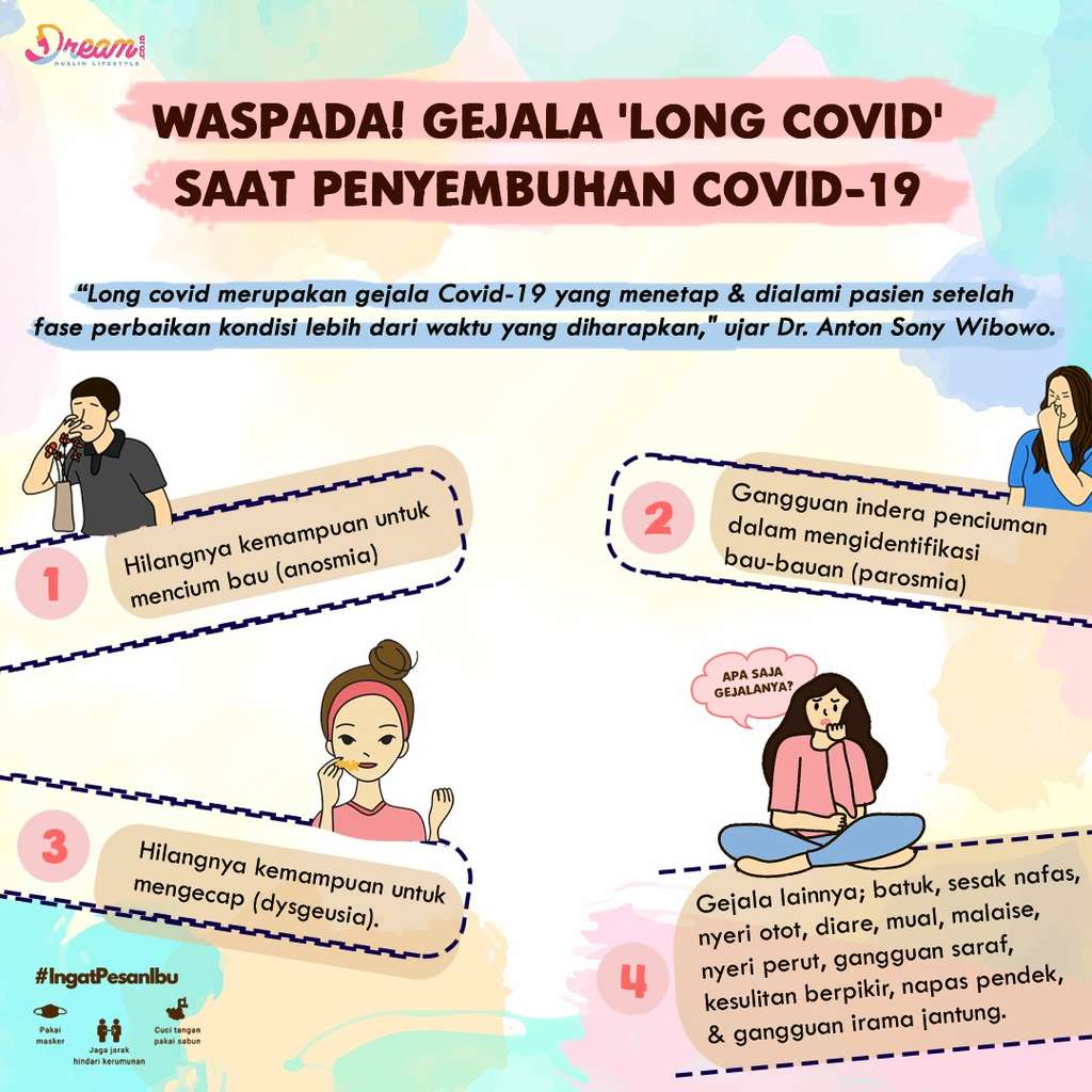 Infografis Dream.co.id