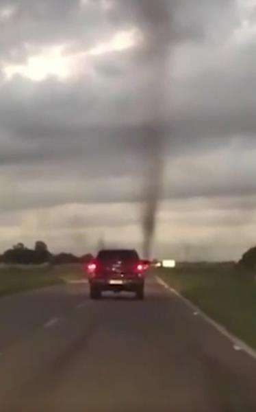 Angin tornado itu ternyata kawanan besar nyamuk.
