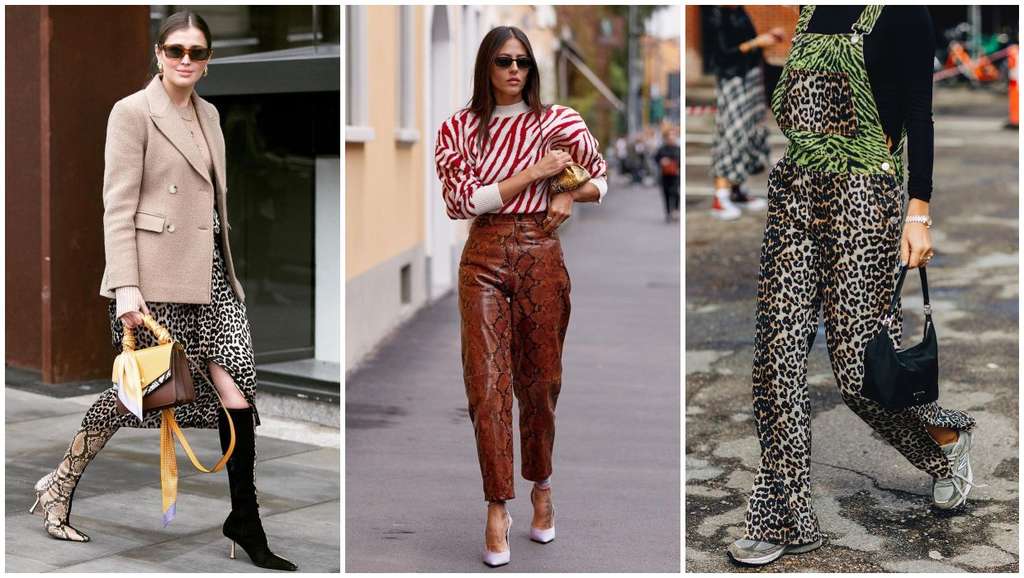 Fashion tabrak motik