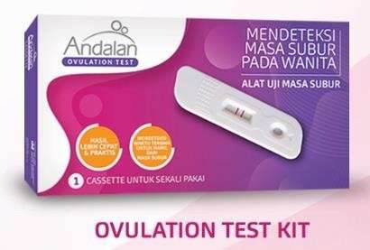 Andalan
