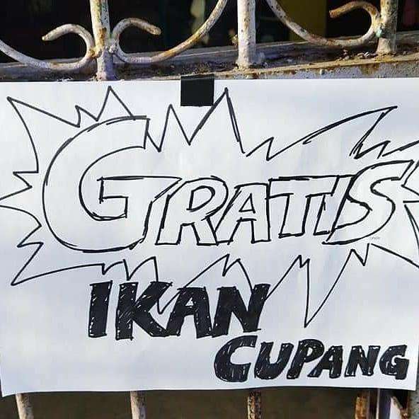 Jual beli ikan cupang merupakan bisnis yang menggiurkan.