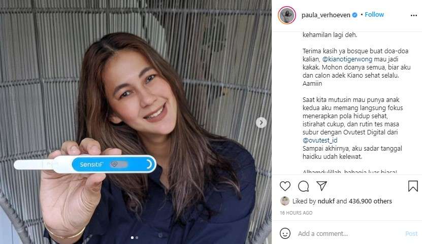 Paula Verhoeven hamil anak kedua