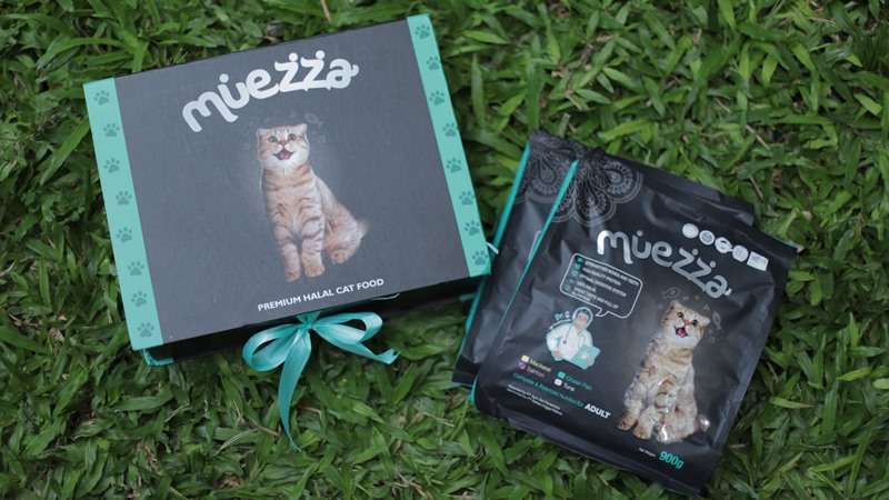 Mengulik Alasan di Balik Kebiasaan Grooming Kucing Setelah Makan