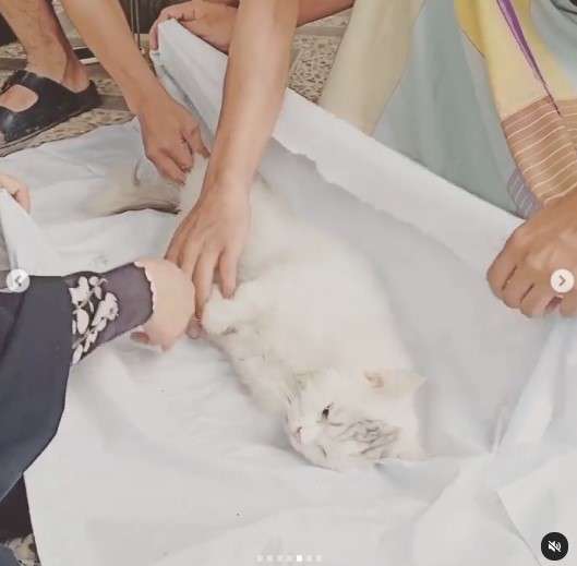 Unggahan Umi Pipik Unggahan Umi Pipik