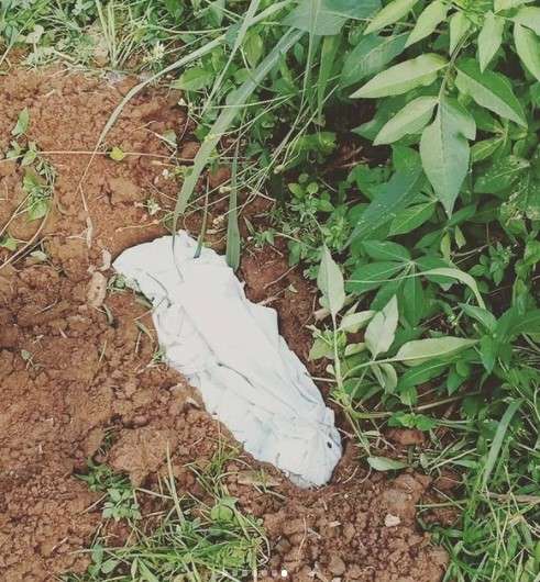 Unggahan Umi Pipik Unggahan Umi Pipik