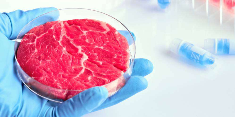 Daging sintetis