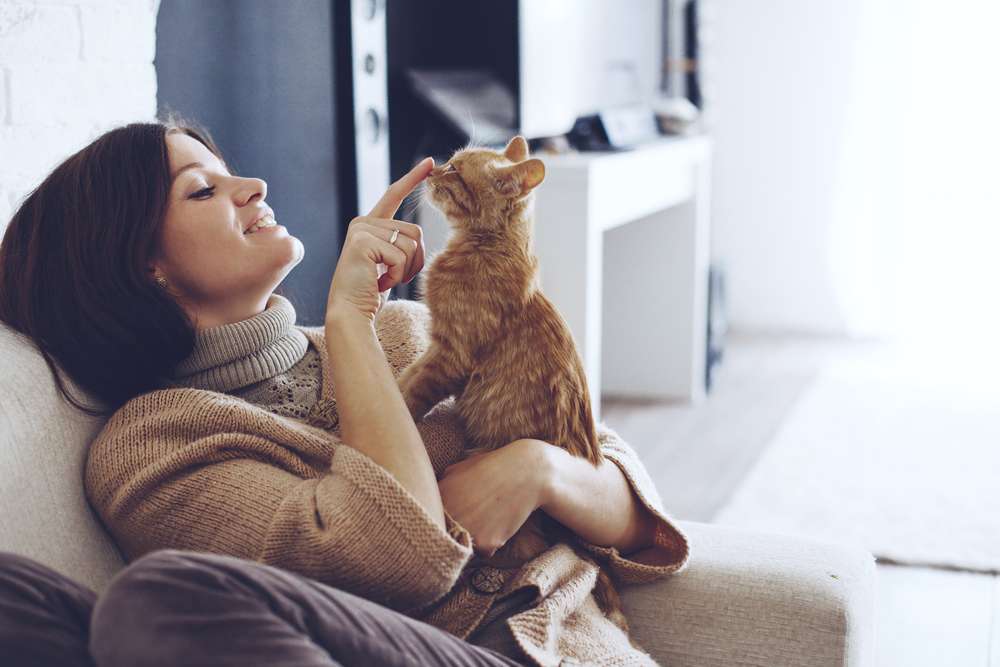 Kucing Menghindar Setiap Dipegang atau Digendong? Bisa Jadi Ini Alasannya