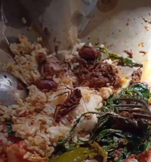 Kecoak ada di dalam nasi padang bungkus.