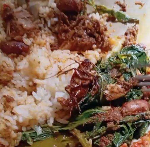 Tak sadar karena kulit kecoak sama dengan warna rendang.