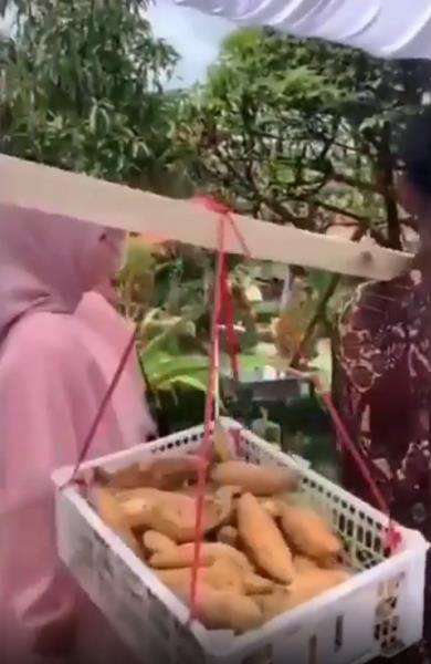 Ke pernikahan bawa kado ketela satu box.