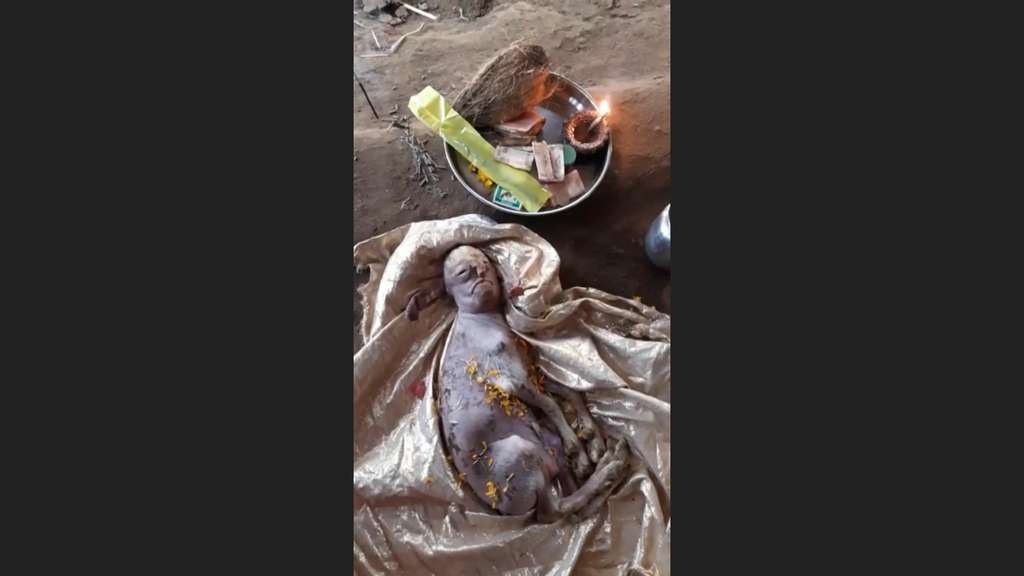 Anak kambing Anak kambing