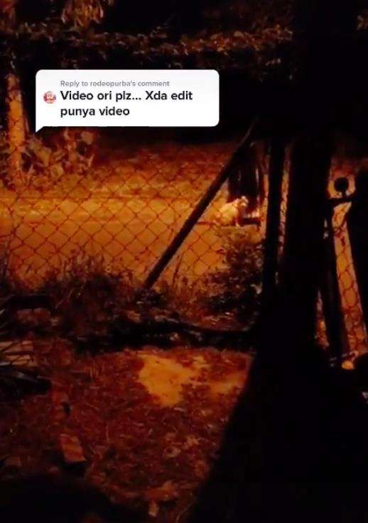 Makhluk berpakaian serba putih dan berambut panjang diduga kuntilanak.