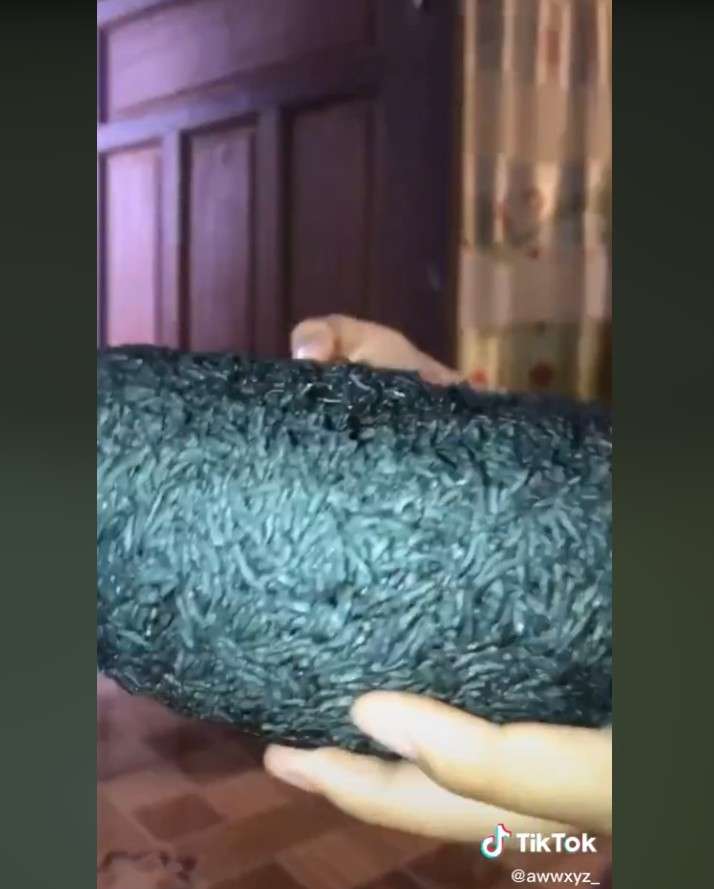 Nasi gosong