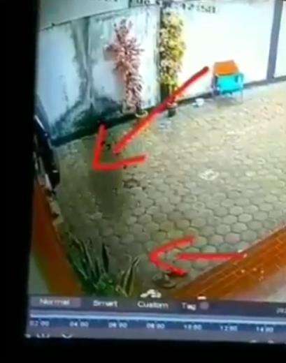 TIba-tiba muncul bayangan hitam menyeberang halaman rumah.