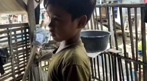 Panji