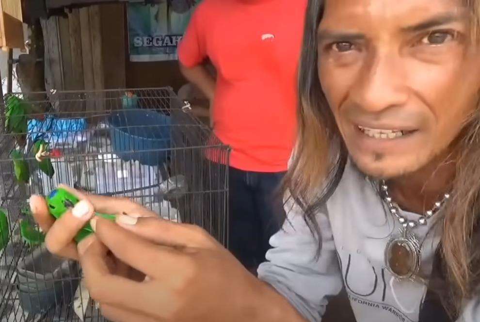 Lagi review burung serindit khas Kalimantan.