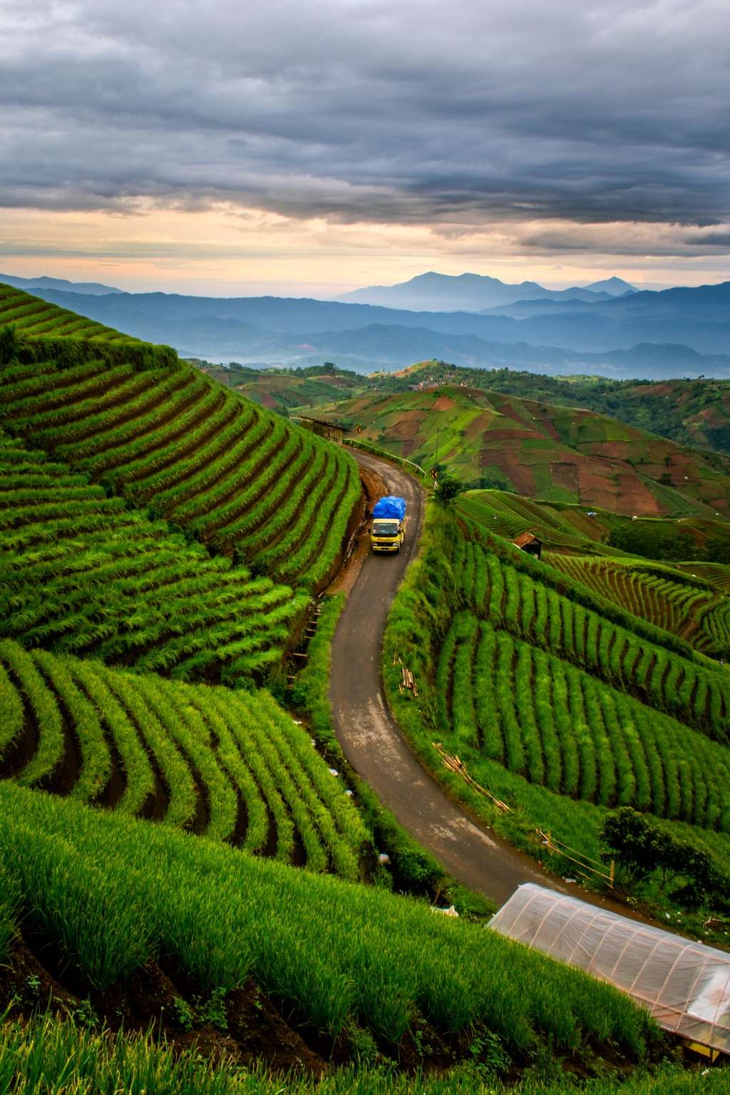 Terasering Majalengka