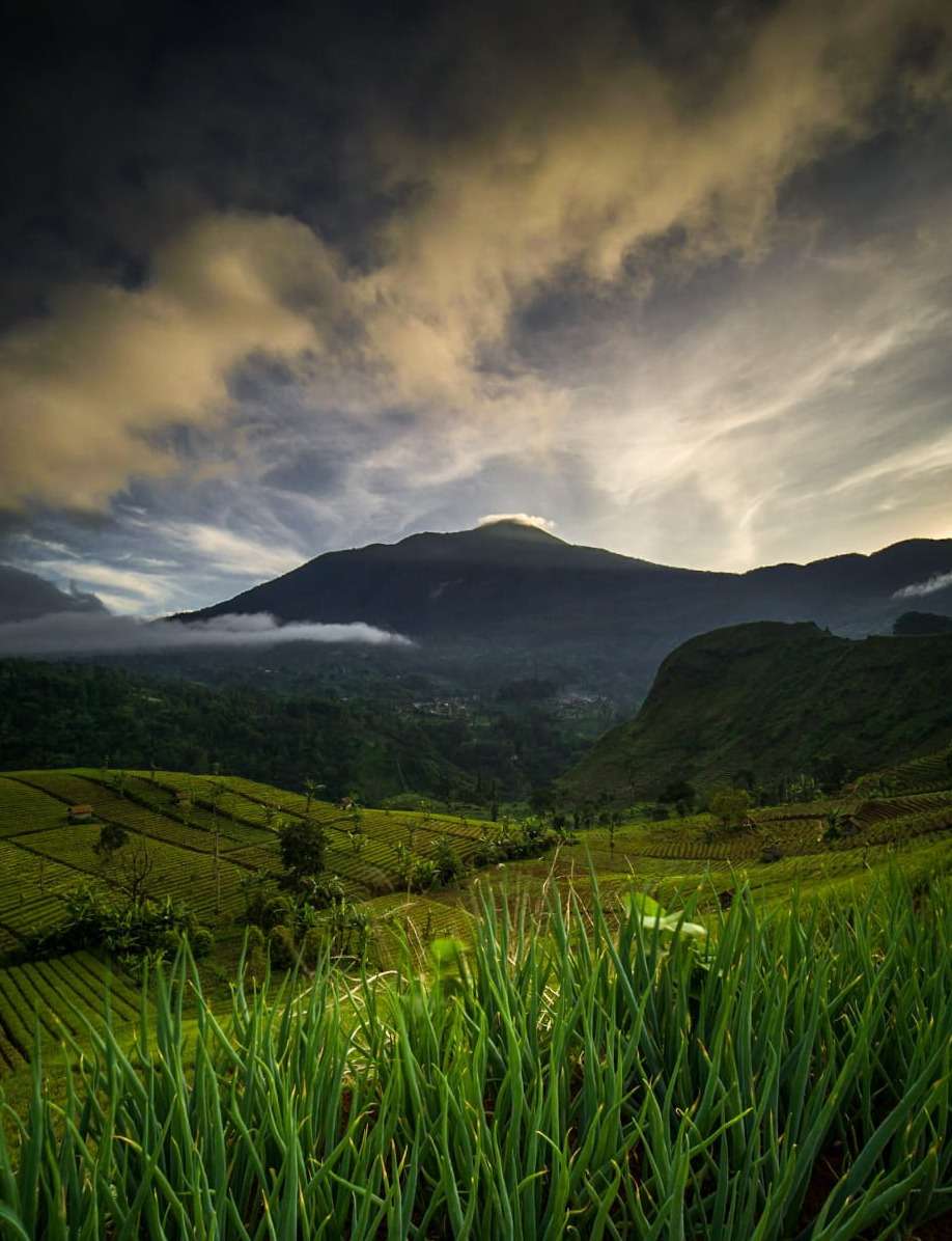 Terasering Majalengka