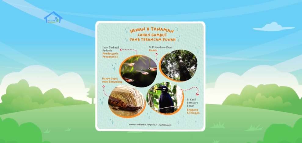 Ajari Anak Mencintai Lingkungan, Yuk Jelaskan Pentingnya Lahan Gambut