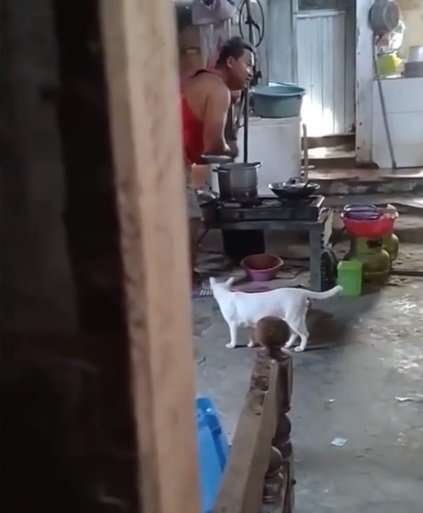 Sembunyi-sembunyi Ambil Makana di Dapur