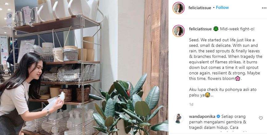 feli