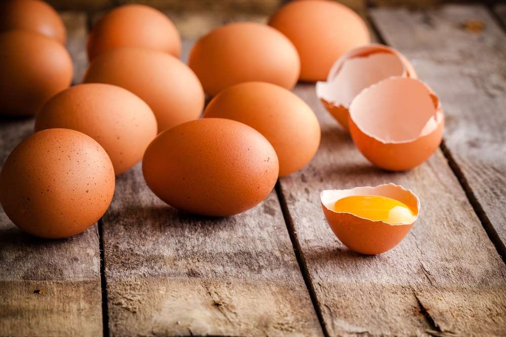 Shutterstock Shutterstock