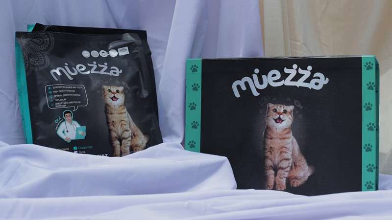 Hidung Kucing yang Basah atau Kering, Mana yang jadi Tanda Penyakit?