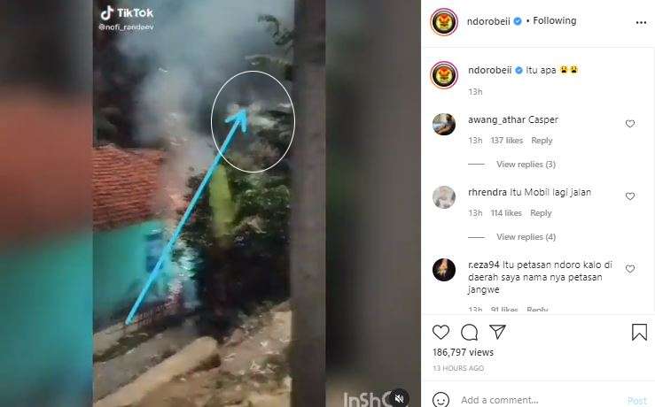 Bayangan putih yang melintas itu apa?