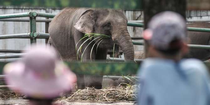 Ragunan